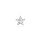 Silver Five-Point Star Barbell Single Earring